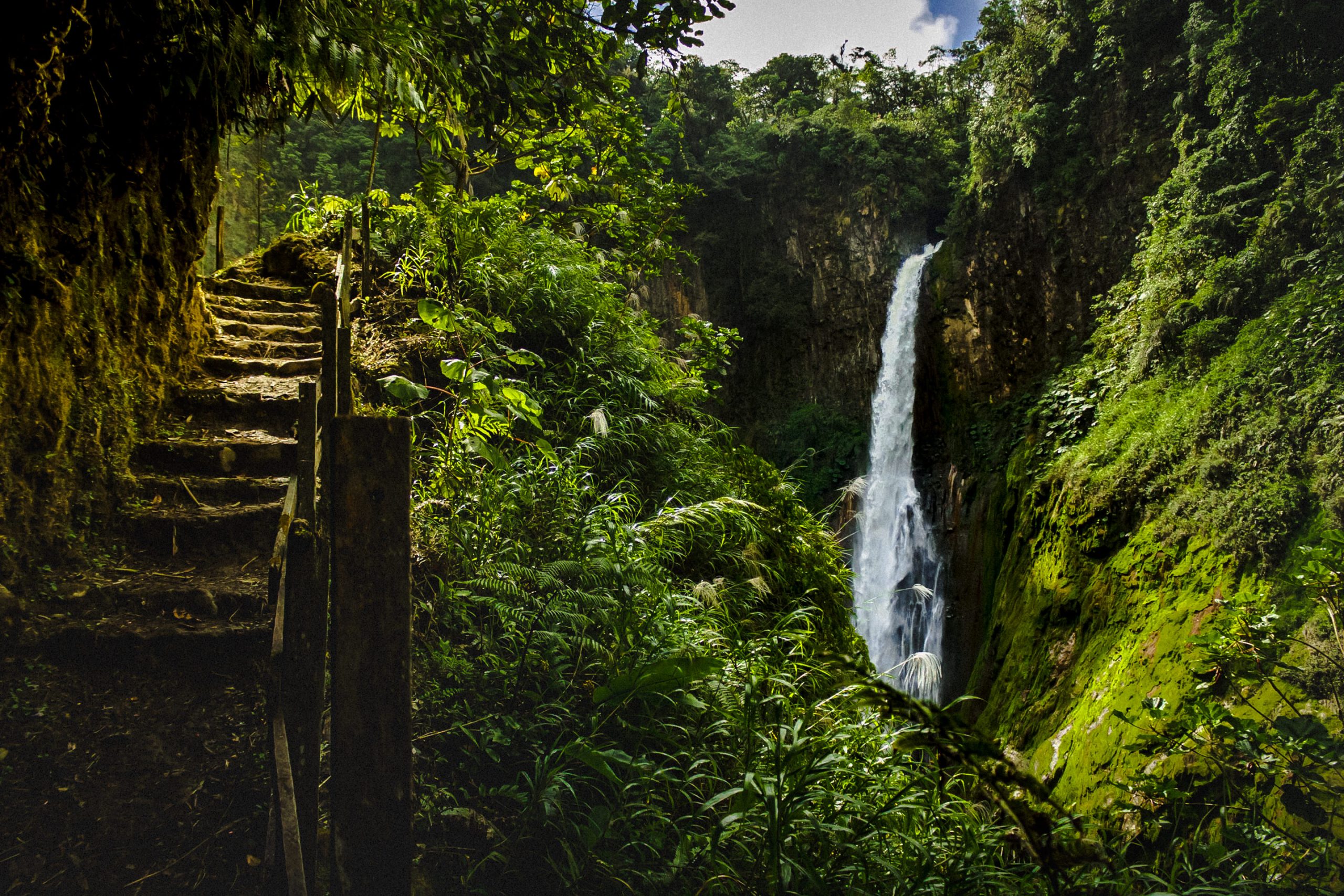 lush rainforest with waterfall landscape costa rica elopement destination